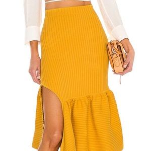 Revolve Skirt